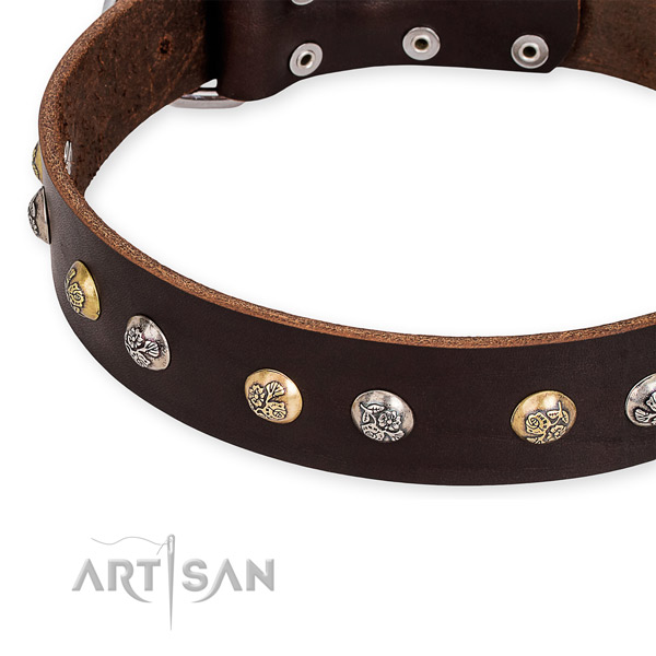 Genuine leather dog collar with significant rust-proof studs