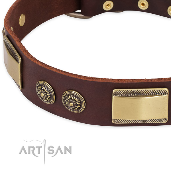 Corrosion resistant traditional buckle on leather dog collar for your four-legged friend