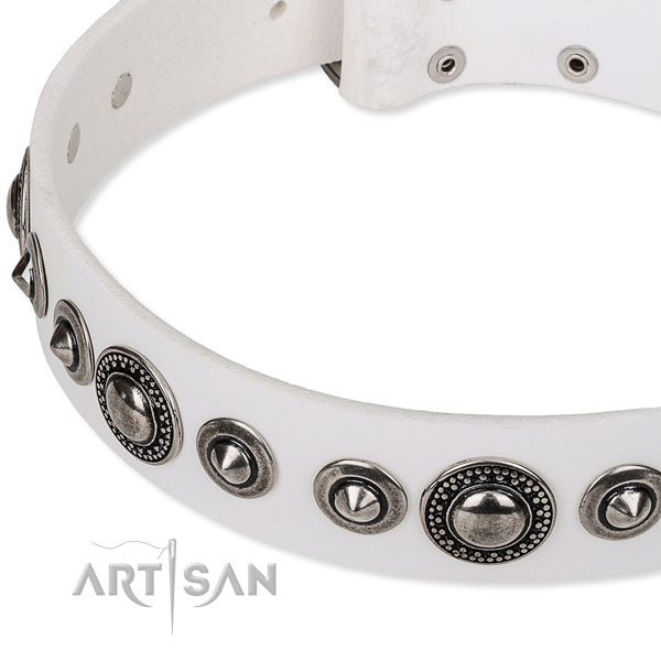 Stylish walking studded dog collar of high quality full grain natural leather