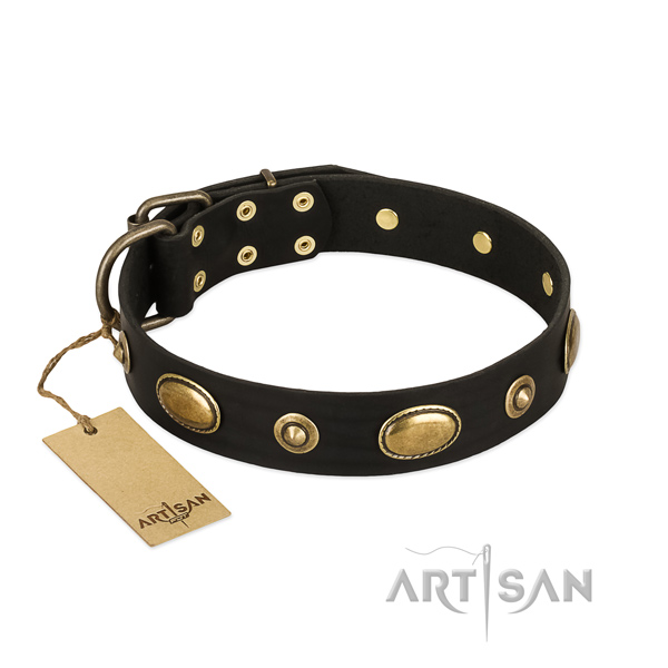Remarkable leather collar for your canine
