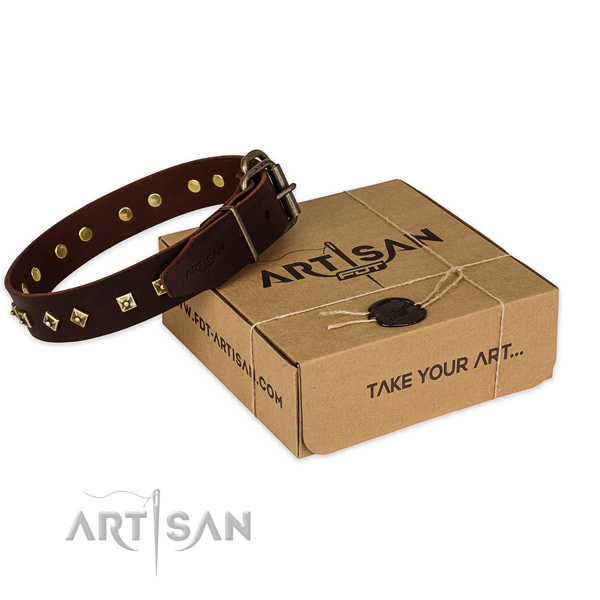 Corrosion proof hardware on full grain leather dog collar for everyday use