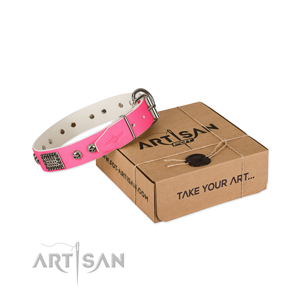 Rust-proof fittings on dog collar for easy wearing