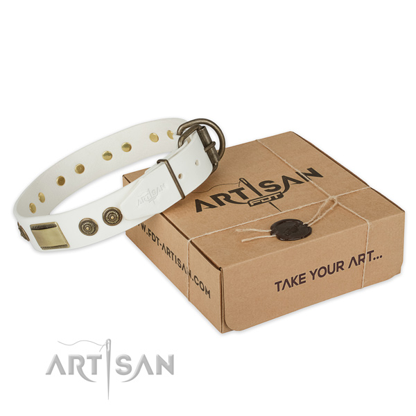 Corrosion proof traditional buckle on full grain genuine leather dog collar for basic training