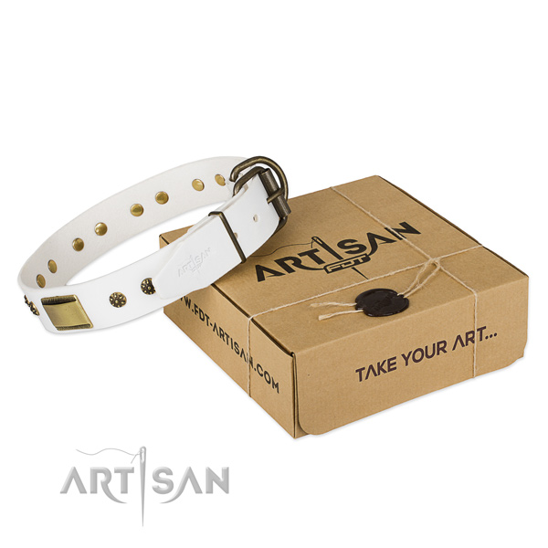 Amazing leather collar for your beautiful canine