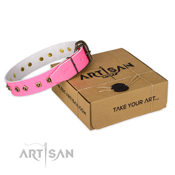 Corrosion resistant traditional buckle on full grain genuine leather dog collar for basic training
