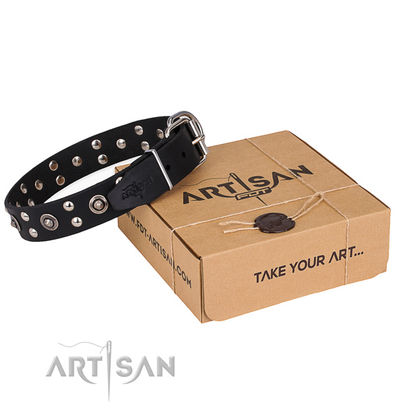 Everyday use dog collar with Unusual corrosion proof adornments