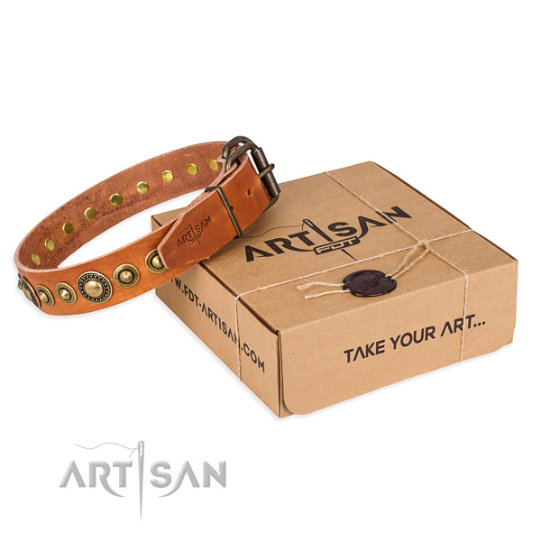 Top rate natural genuine leather dog collar crafted for daily use