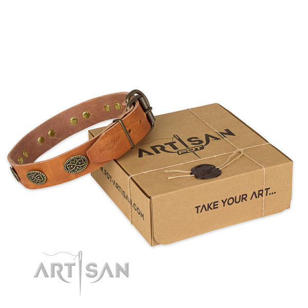 Reliable traditional buckle on natural genuine leather collar for your attractive dog