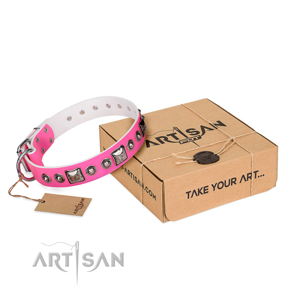 Quality full grain genuine leather dog collar made for basic training