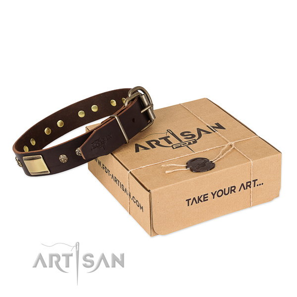 Adorned full grain genuine leather collar for your impressive pet