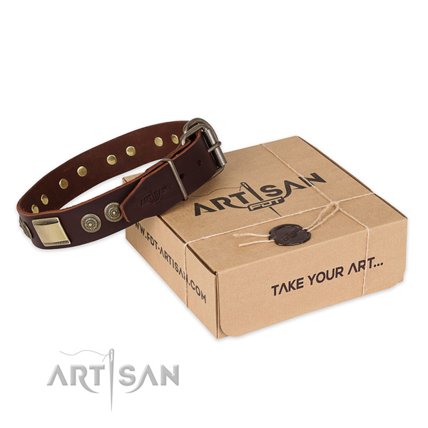 Rust-proof fittings on leather dog collar for walking
