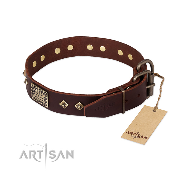Genuine leather dog collar with strong buckle and studs