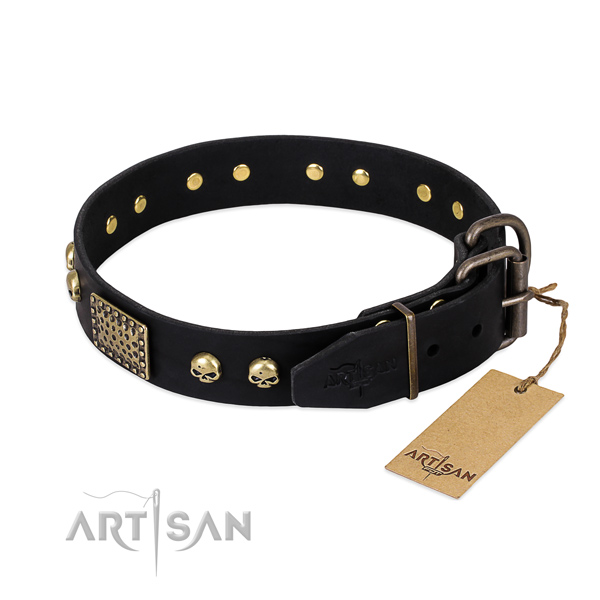 Durable decorations on daily walking dog collar