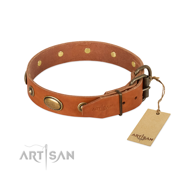 Reliable fittings on full grain natural leather dog collar for your four-legged friend