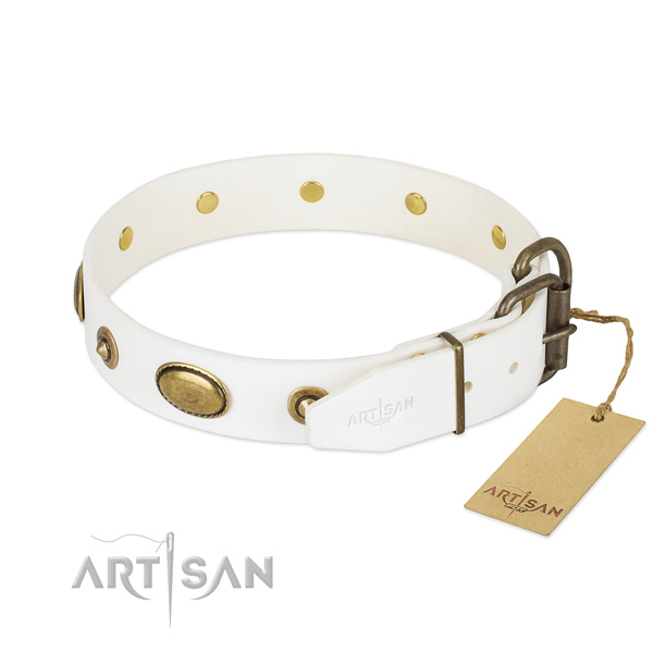 Rust-proof studs on full grain leather dog collar for your four-legged friend