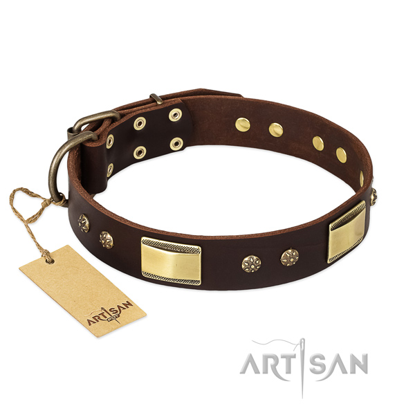 Leather dog collar with corrosion resistant fittings and decorations