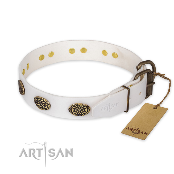 Corrosion proof buckle on full grain natural leather collar for basic training your four-legged friend