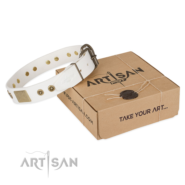 Convenient genuine leather collar for your handsome dog