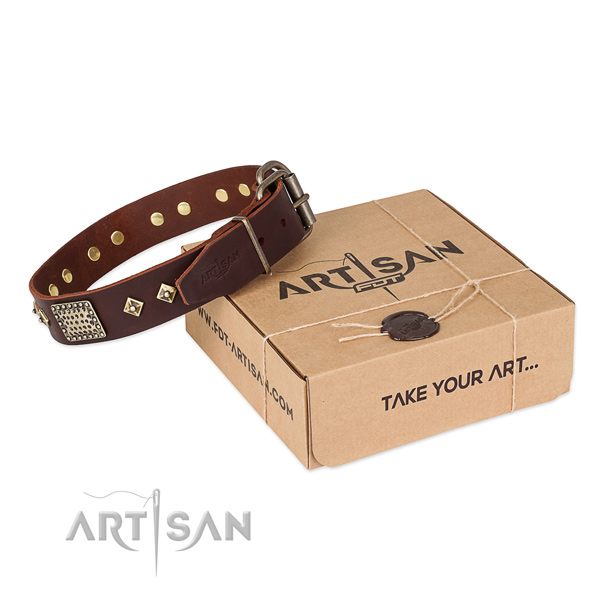 Adorned full grain genuine leather collar for your impressive dog