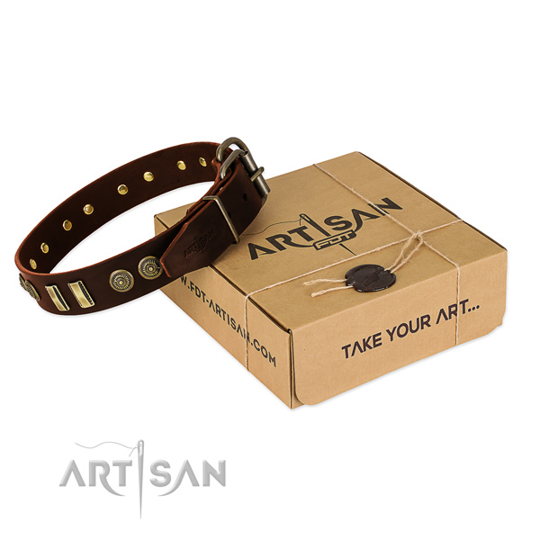 Rust-proof fittings on leather dog collar for your canine