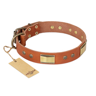 "Enchanting Spectacle" FDT Artisan Tan Leather English Bulldog Collar with Old Bronze Look Plates and Round Studs