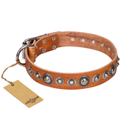 "Daily Chic" FDT Artisan Tan Leather English Bulldog Collar with Decorations