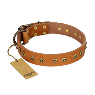 "Autumn Story" FDT Artisan Leather English Bulldog Collar with Old Bronze Look Studs