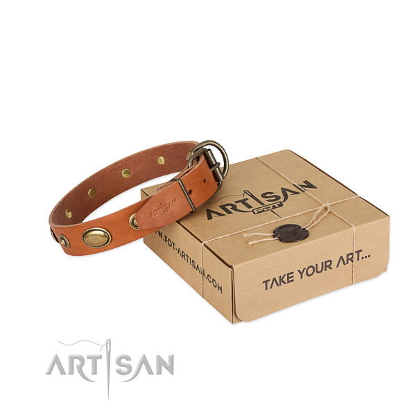 Reliable embellishments on full grain genuine leather dog collar for your pet