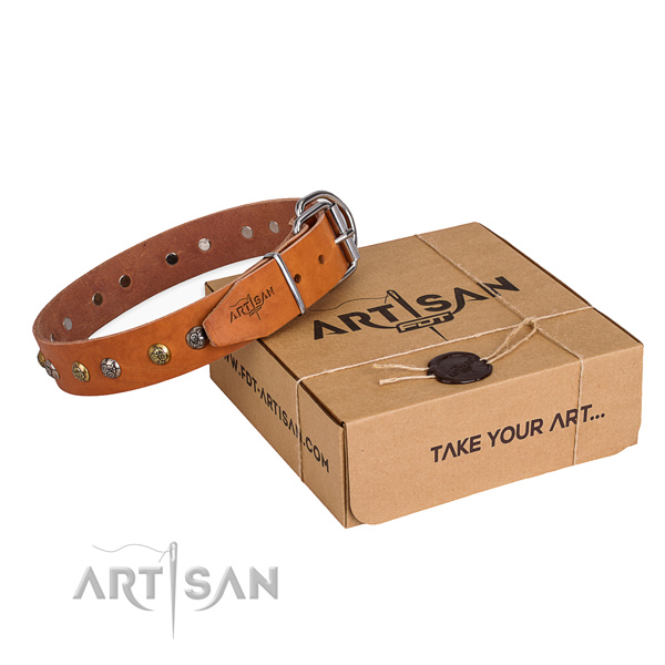 Stylish walking dog collar with Impressive rust resistant adornments