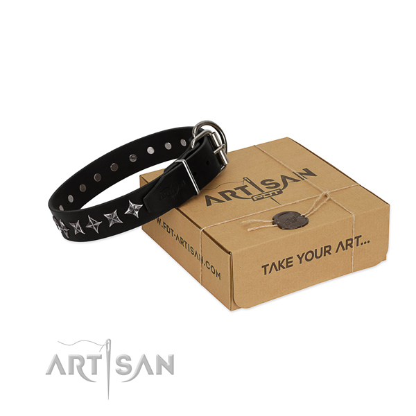 Basic training dog collar of reliable leather with embellishments