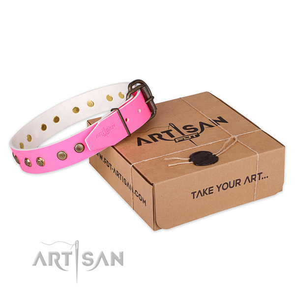 Corrosion resistant D-ring on full grain natural leather collar for your stylish pet