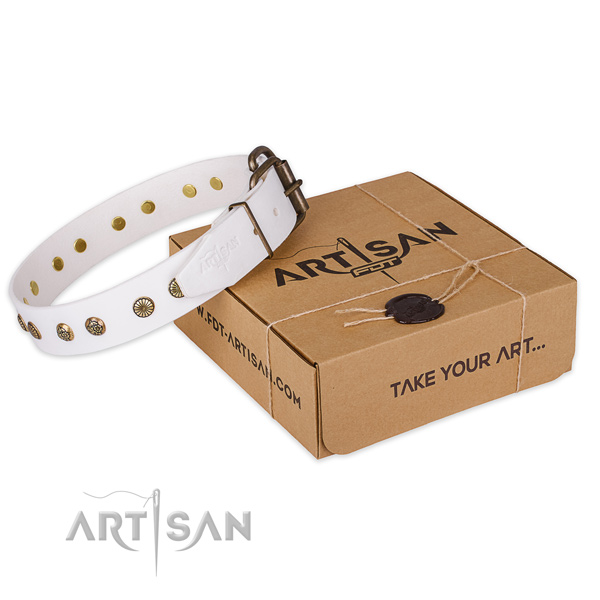 Reliable hardware on full grain leather collar for your stylish doggie