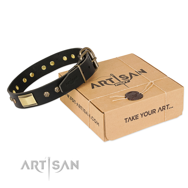 Top quality natural leather collar for your impressive canine