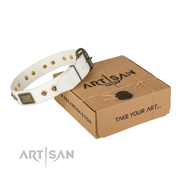 Trendy full grain leather collar for your lovely four-legged friend