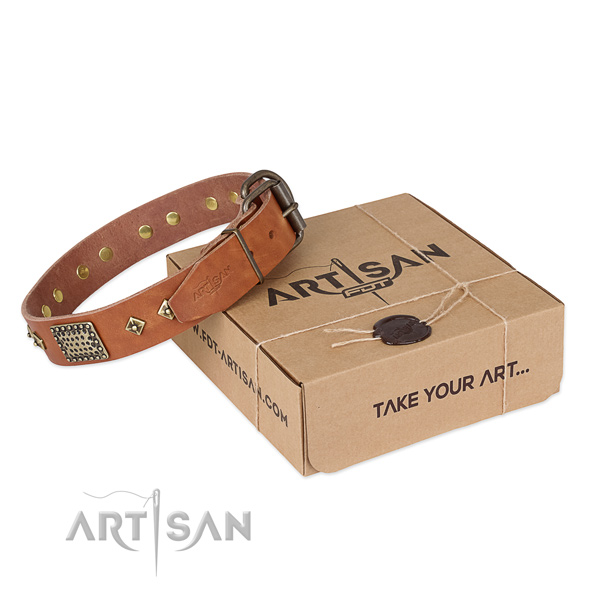 Extraordinary genuine leather collar for your stylish doggie