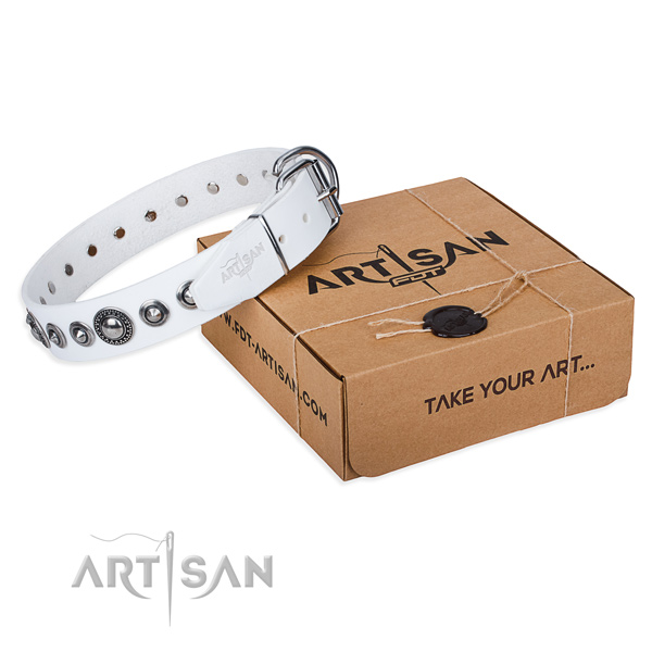 Full grain natural leather dog collar made of quality material with rust-proof fittings