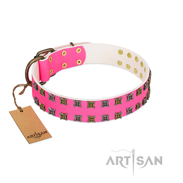Full grain natural leather collar with impressive studs for your doggie