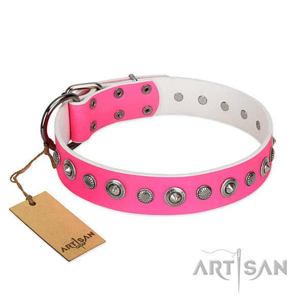Strong natural leather dog collar with awesome embellishments