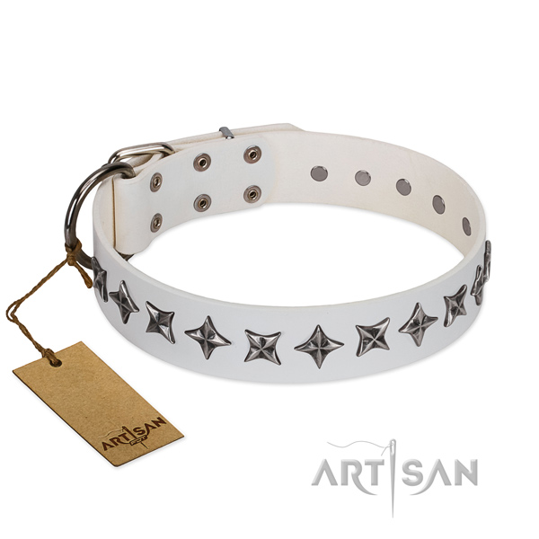 Walking dog collar of reliable natural leather with decorations