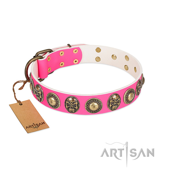 Easy to adjust genuine leather dog collar for everyday walking your pet