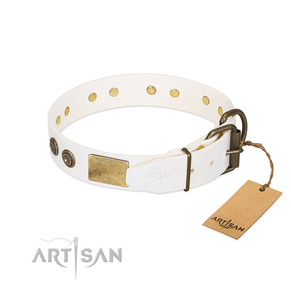 Durable buckle on full grain genuine leather collar for stylish walking your dog