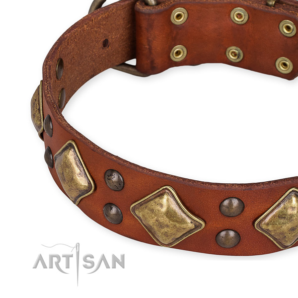 Genuine leather collar with rust-proof fittings for your attractive four-legged friend