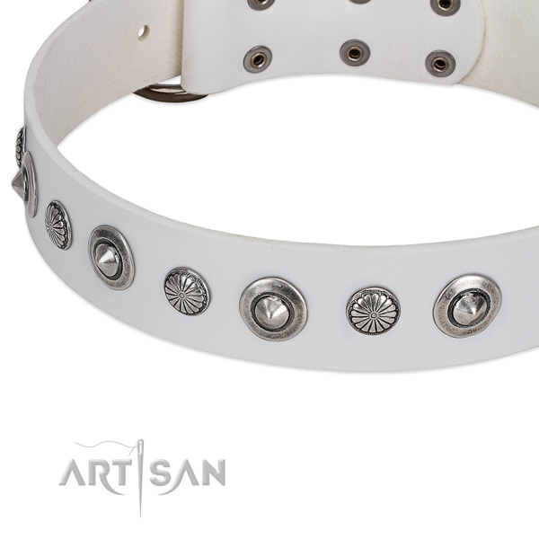 Full grain genuine leather collar with rust resistant D-ring for your beautiful pet