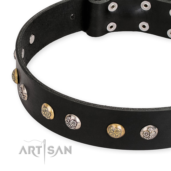 Genuine leather dog collar with exquisite rust resistant embellishments