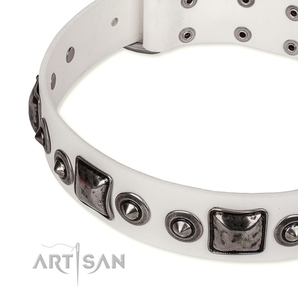 Soft full grain natural leather dog collar handmade for your impressive canine