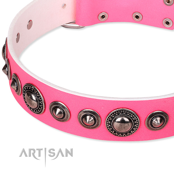 Fancy walking embellished dog collar of reliable full grain genuine leather
