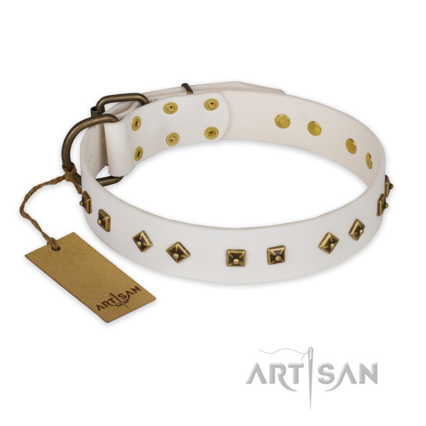 Unique full grain genuine leather dog collar with corrosion resistant fittings