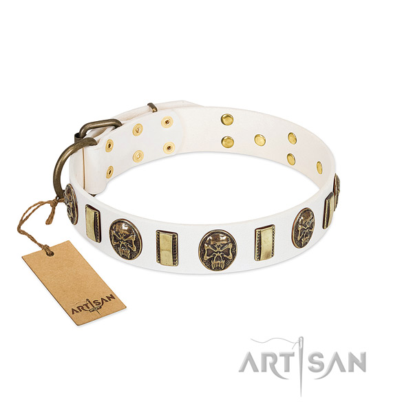 Adjustable full grain leather dog collar for stylish walking