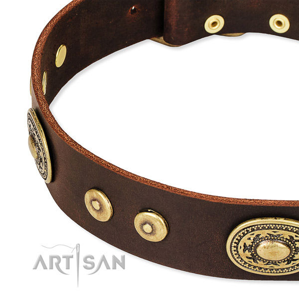 Decorated dog collar made of gentle to touch leather