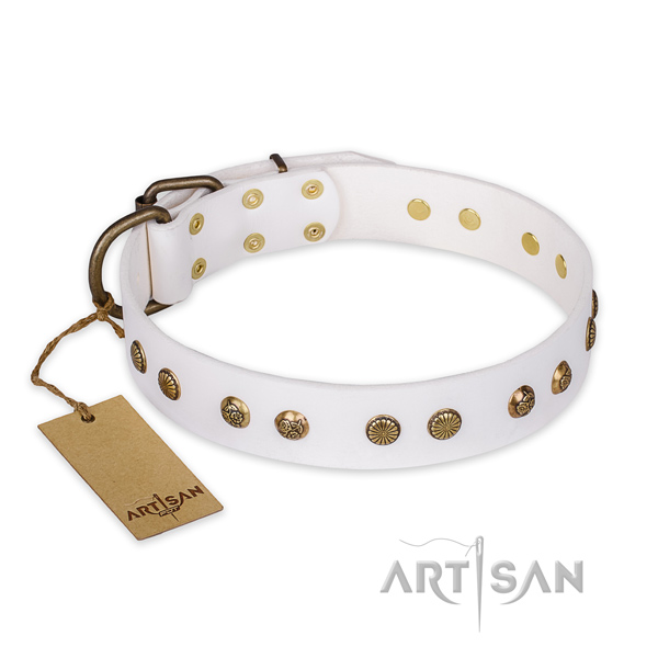 Fashionable full grain leather dog collar with reliable traditional buckle